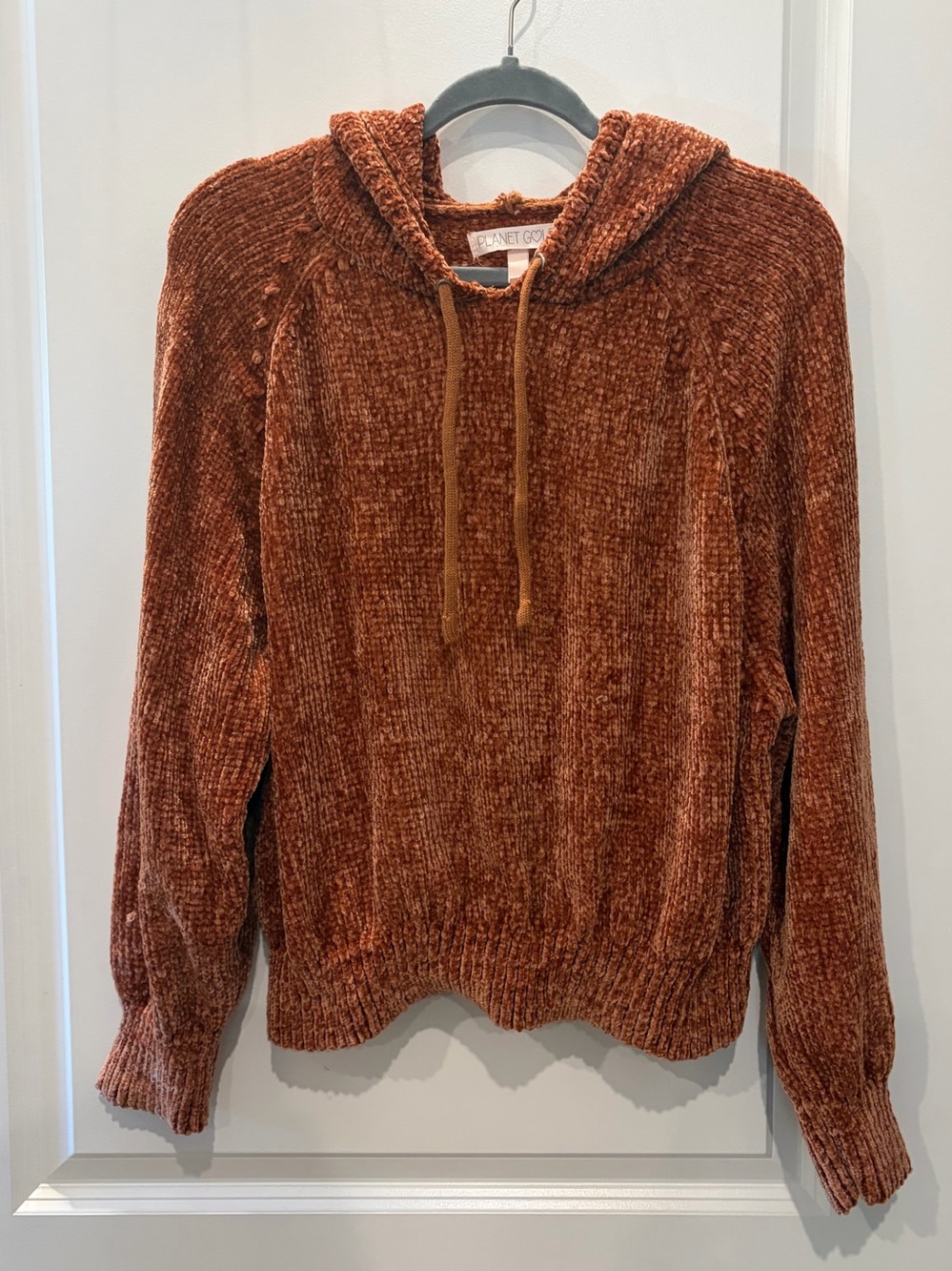Planet Gold Chenille Hoodie Sweater in Rust